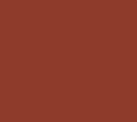Pour un terrain impeccable, optez pour notre peinture tennis de qualité professionnelle, disponible en Rouge Brique.