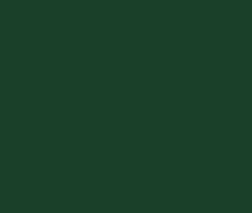 Pour un terrain impeccable, optez pour notre peinture tennis de qualité professionnelle, disponible en Vert foncé.